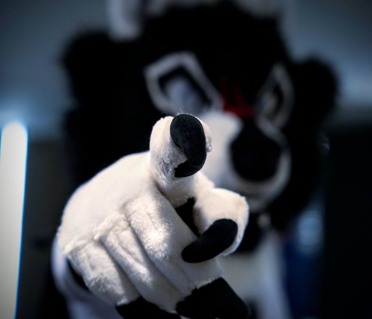 I want you

To love and respect yourself, drink some water, eat a balanced breakfast, and do crimes
#FursuitFriday