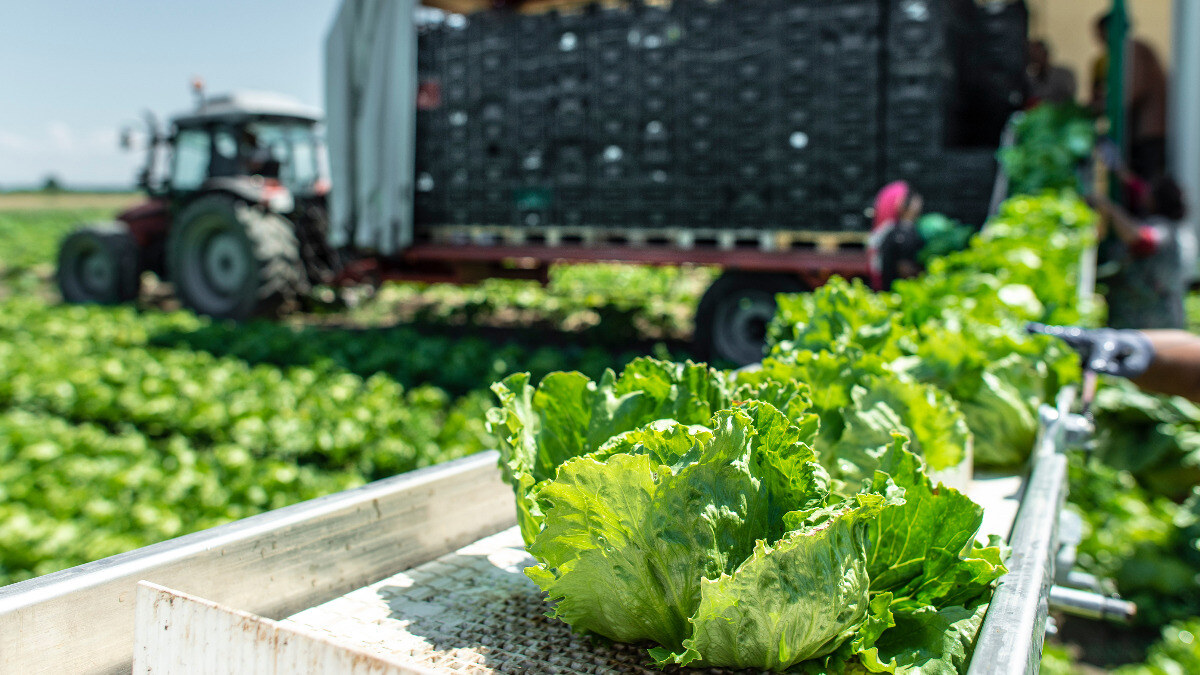 zagtechservices's tweet photo. Shout out to our media partner Produce Blue Book, who clearly understand the cybersecurity threat facing the produce industry.

Join Blue Book and ZAG is at this year's #IFPA Global Produce Show, chatting #cybersecurity and #analytics for Ag.

https://t.co/UEOSRS0Lnu https://t.co/rVK6DKcdB2