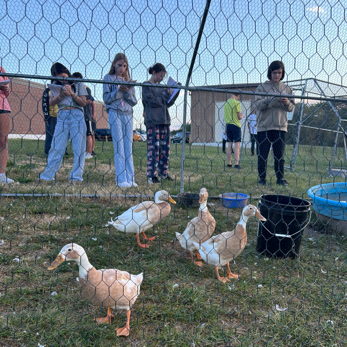 Jamie Lazechko tweet media