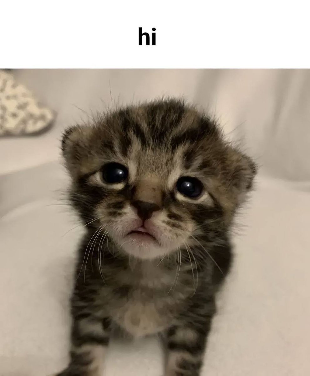 hi