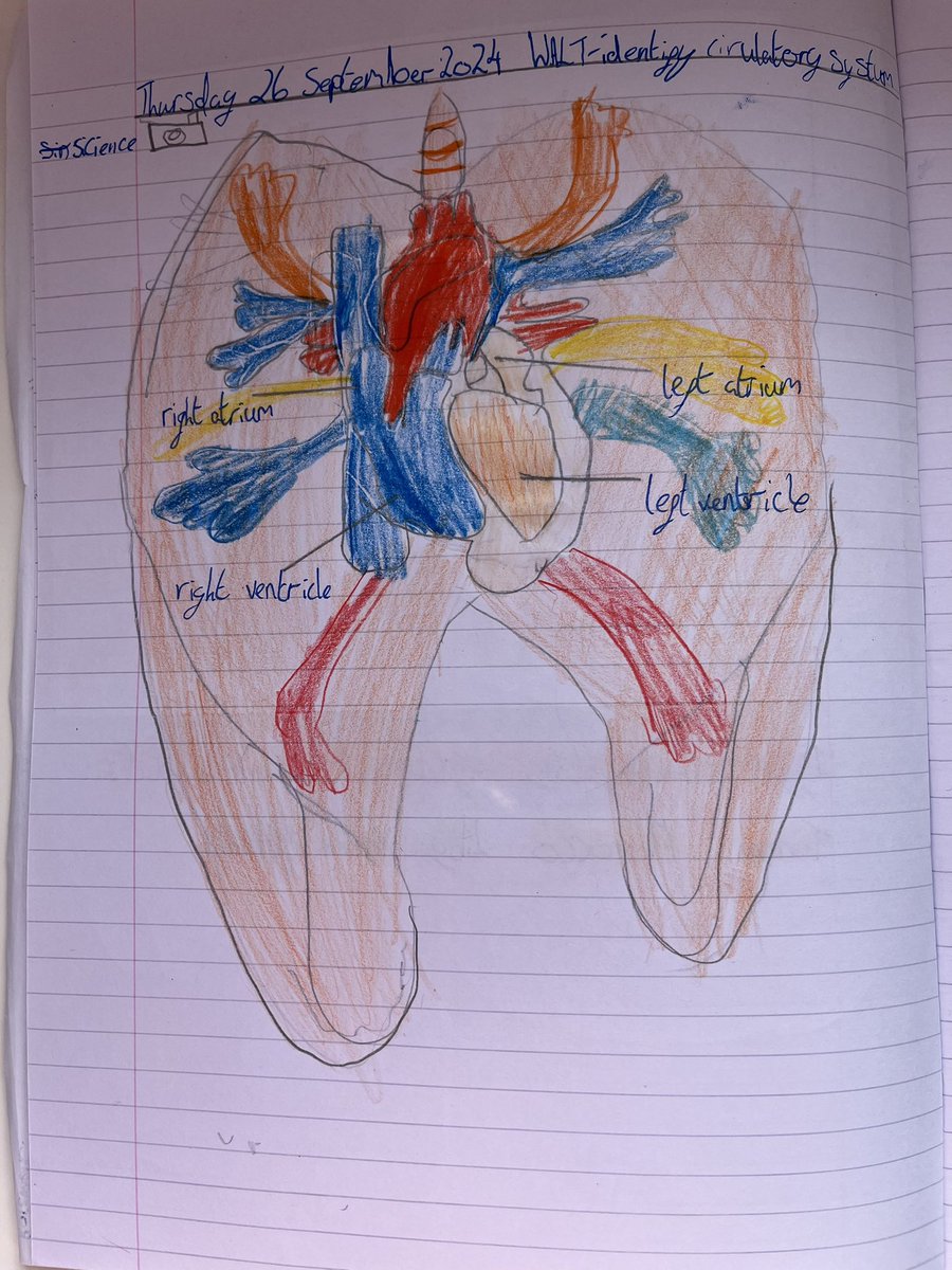 Ian Phillips tweet media