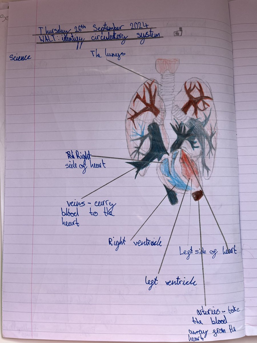 Ian Phillips tweet media