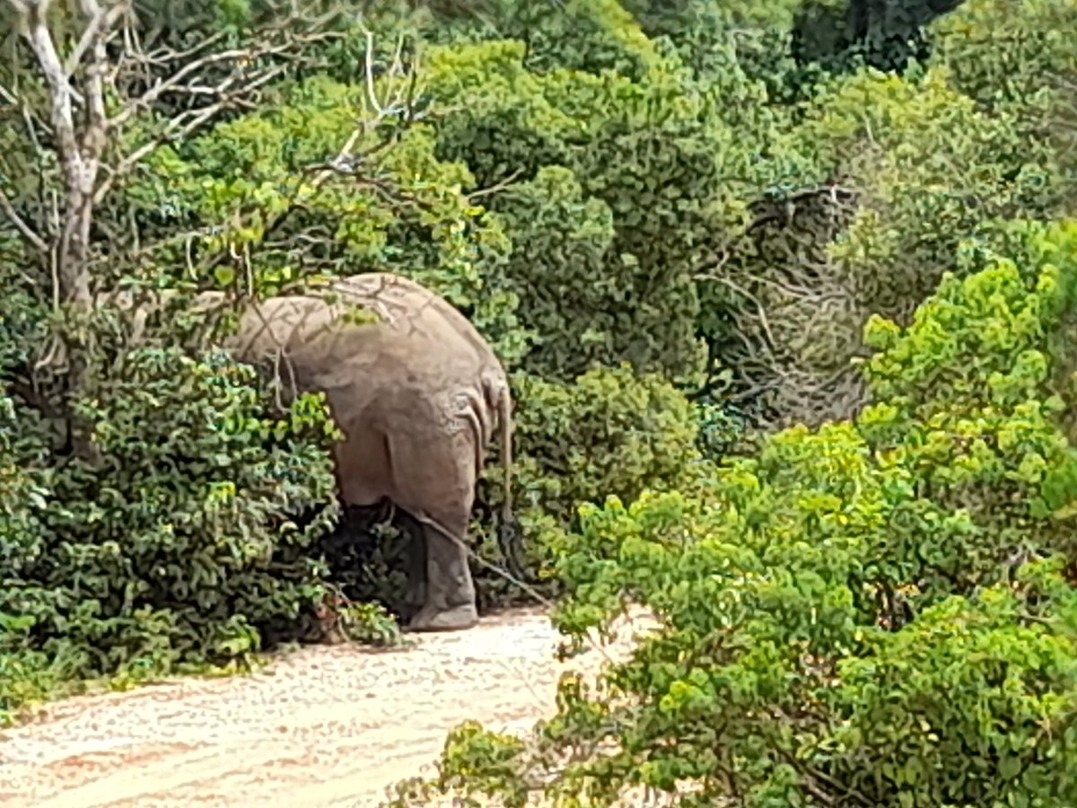 Dr Sam Orochi Orach tweet media