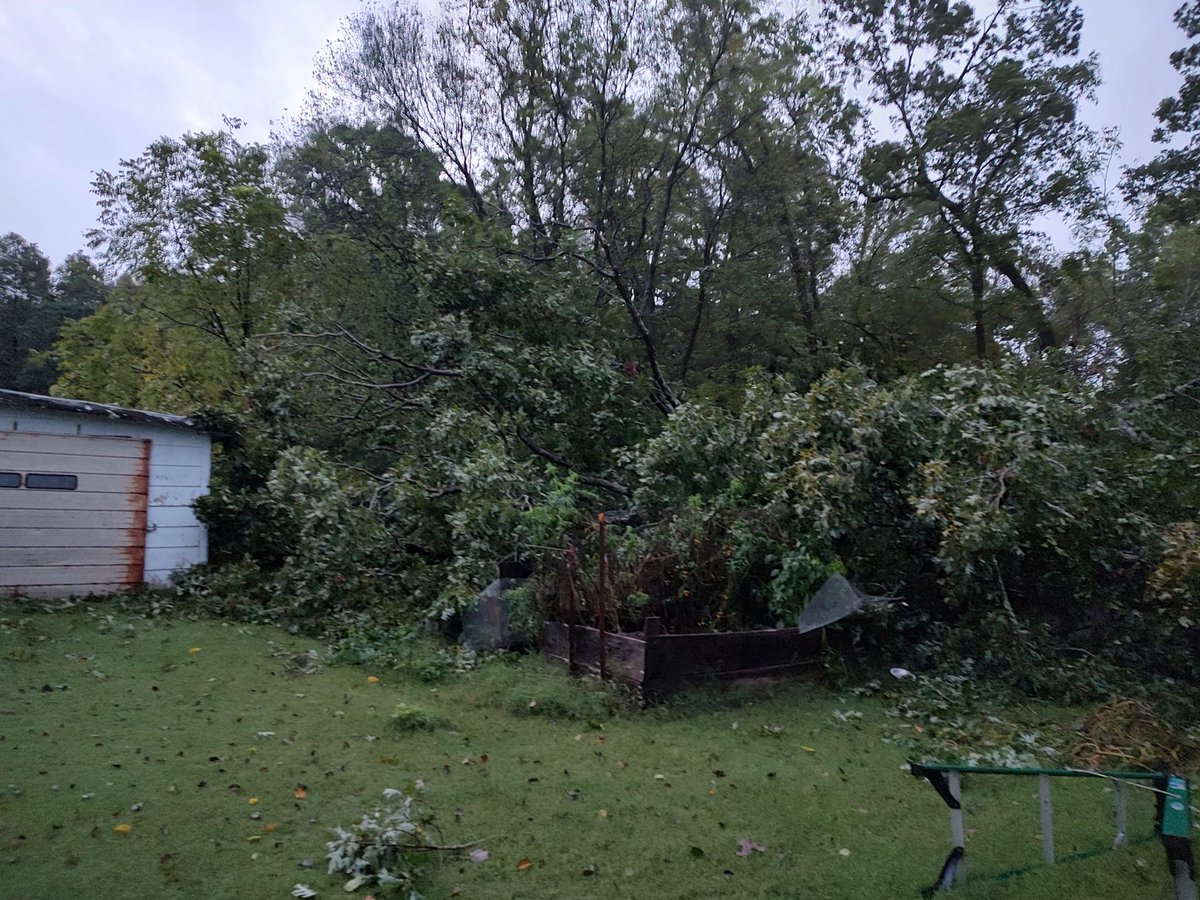 JacobDurhamWX's tweet image. Our strong winds are beginning to bring down trees across the region. This is from Robyn Cardwell Kelly in Dandridge. Are you seeing any damage where you live? #wvltfirstalert