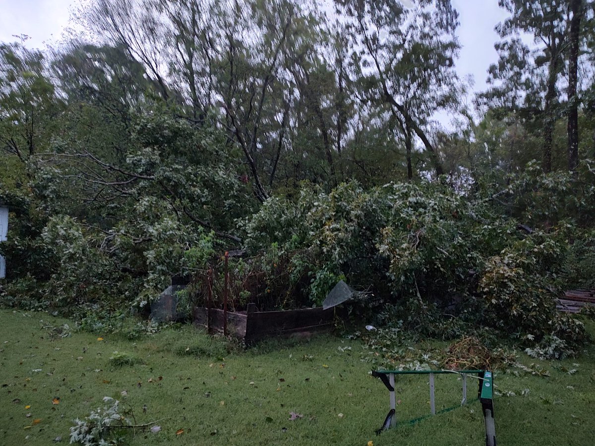 JacobDurhamWX's tweet image. Our strong winds are beginning to bring down trees across the region. This is from Robyn Cardwell Kelly in Dandridge. Are you seeing any damage where you live? #wvltfirstalert