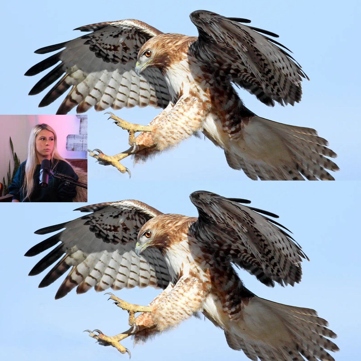 MichaelRealReed's tweet image. Hmmm #ThinkItOut