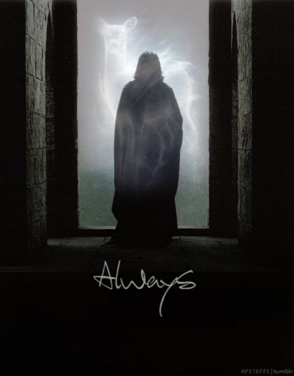 TheDailyHPotter's tweet image. Always 🩶