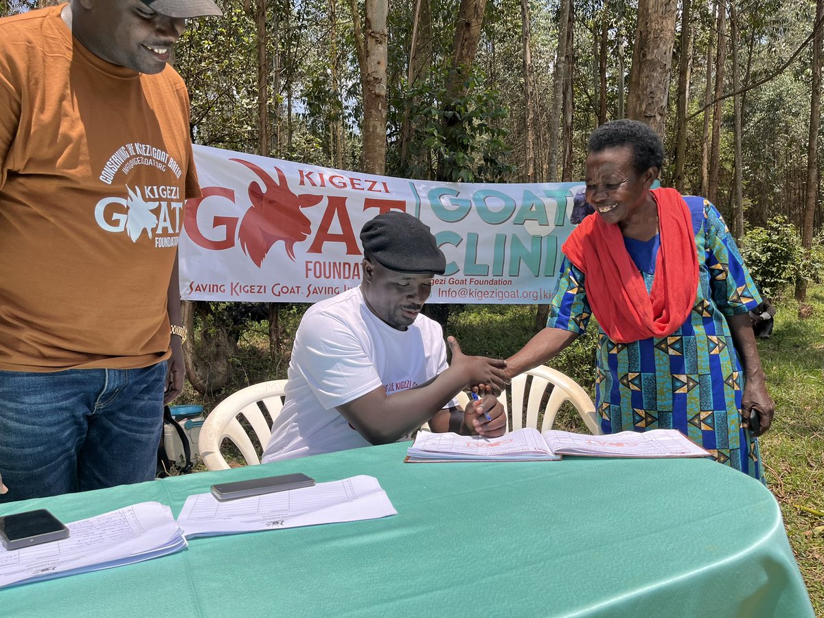 KigeziGoat's tweet photo. In preparation for tomorrow’s Seeds of Gold Farm Clinic, Together with DVO’s  office, we conducted a PPR vaccination campaign and successfully vaccinated over 450 goats in Muyebe Parish, Kabale District.@ntvuganda @DailyMonitor @NAGRC_DB @narouganda @FAO https://t.co/zMoF5DpasJ
