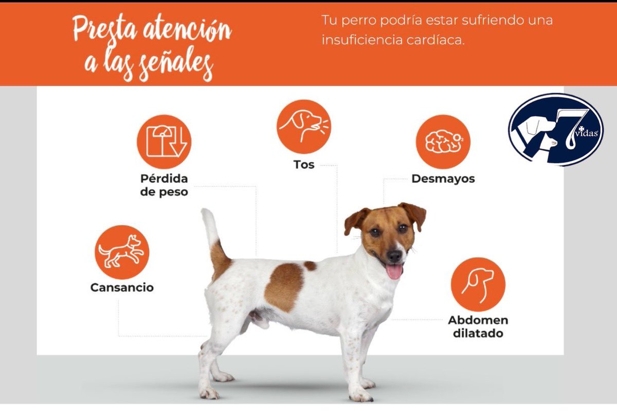cv7vidas's tweet photo. No lo dejes pasar !!!!!! https://t.co/57Og5cKfzm