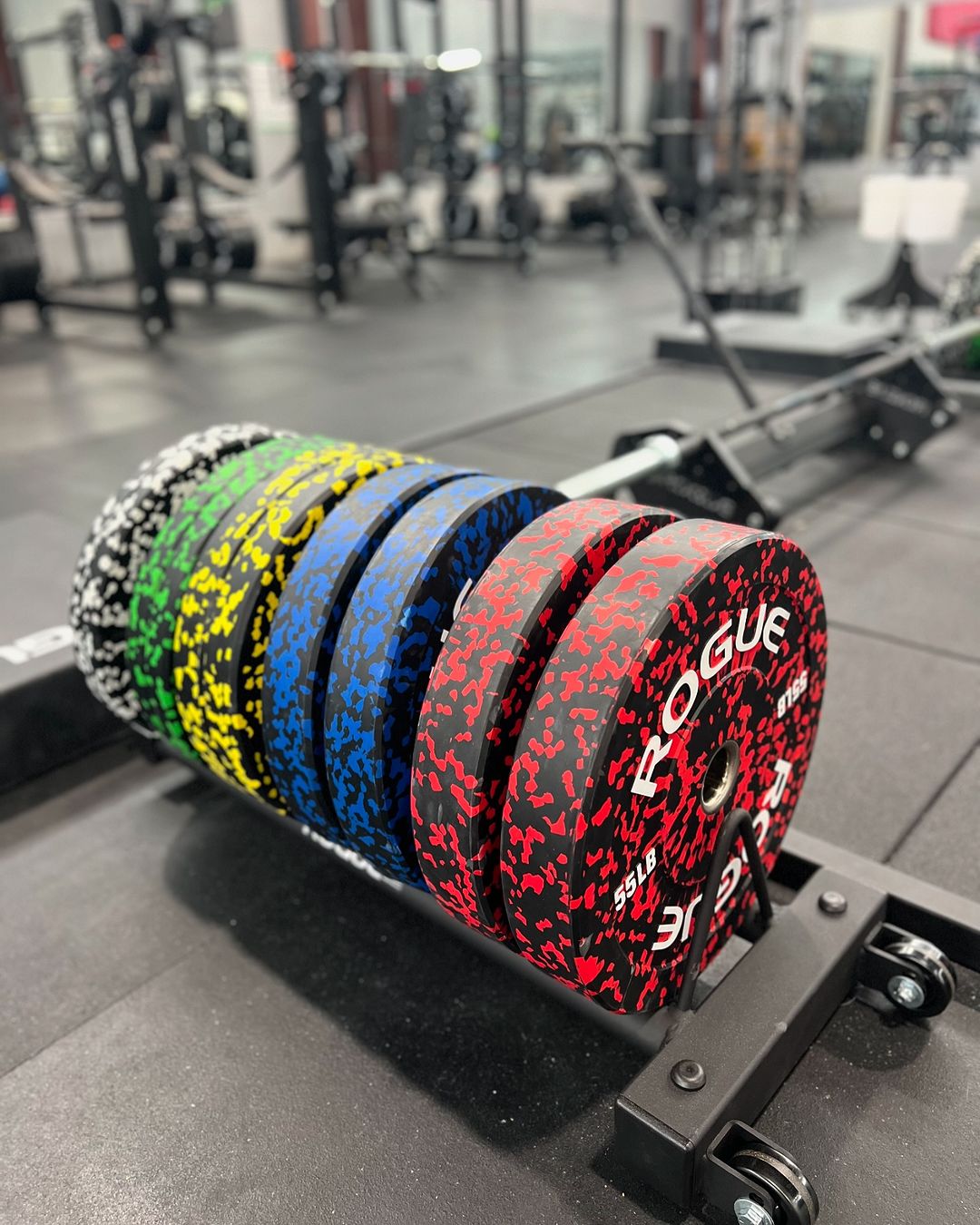 Fleck plates rogue sale