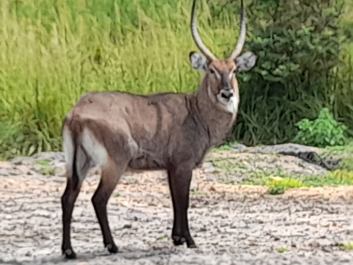 Dr Sam Orochi Orach tweet media