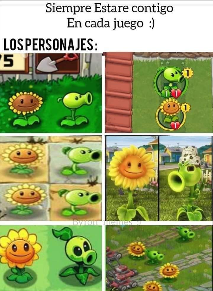 CondorPana's tweet image. 