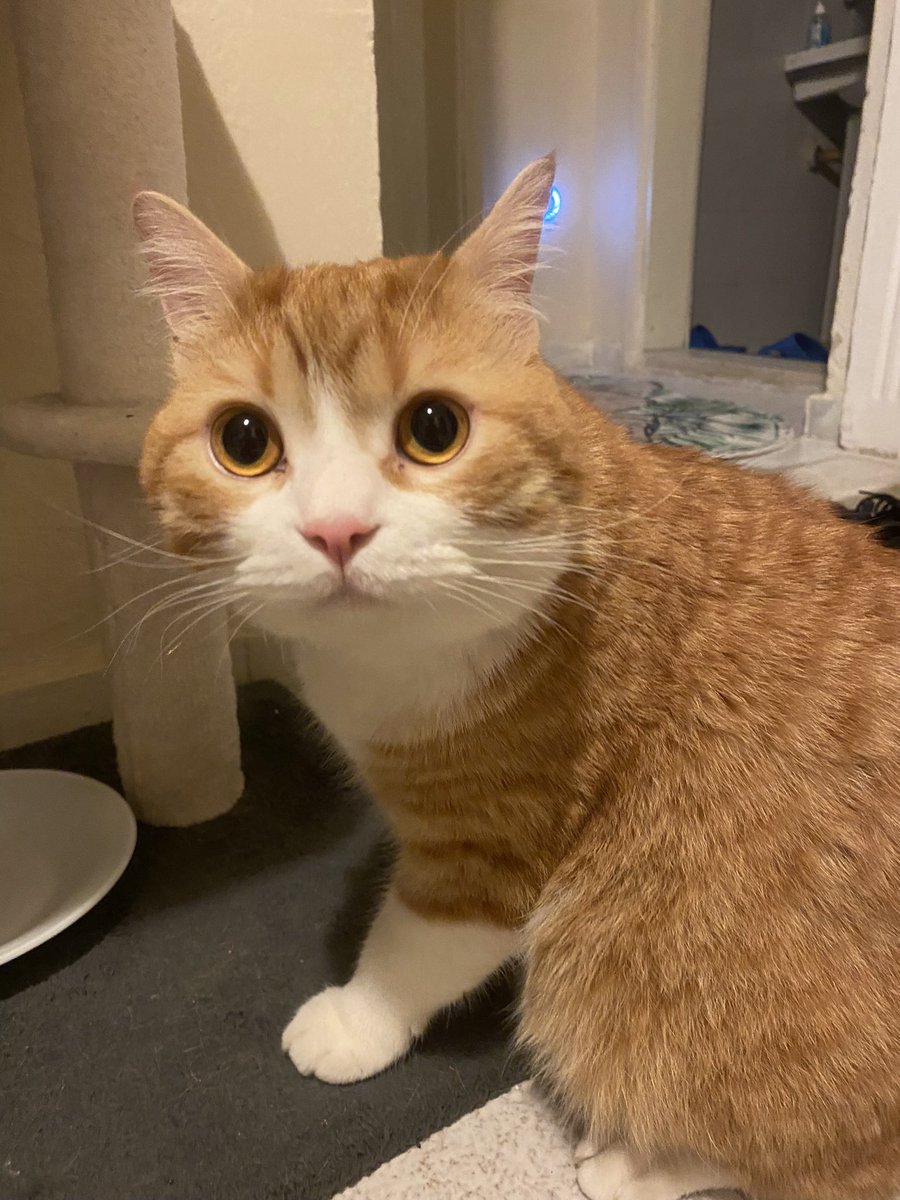 tasniyonum düştü vala neler dedi hakında hiçbir fikrimyok