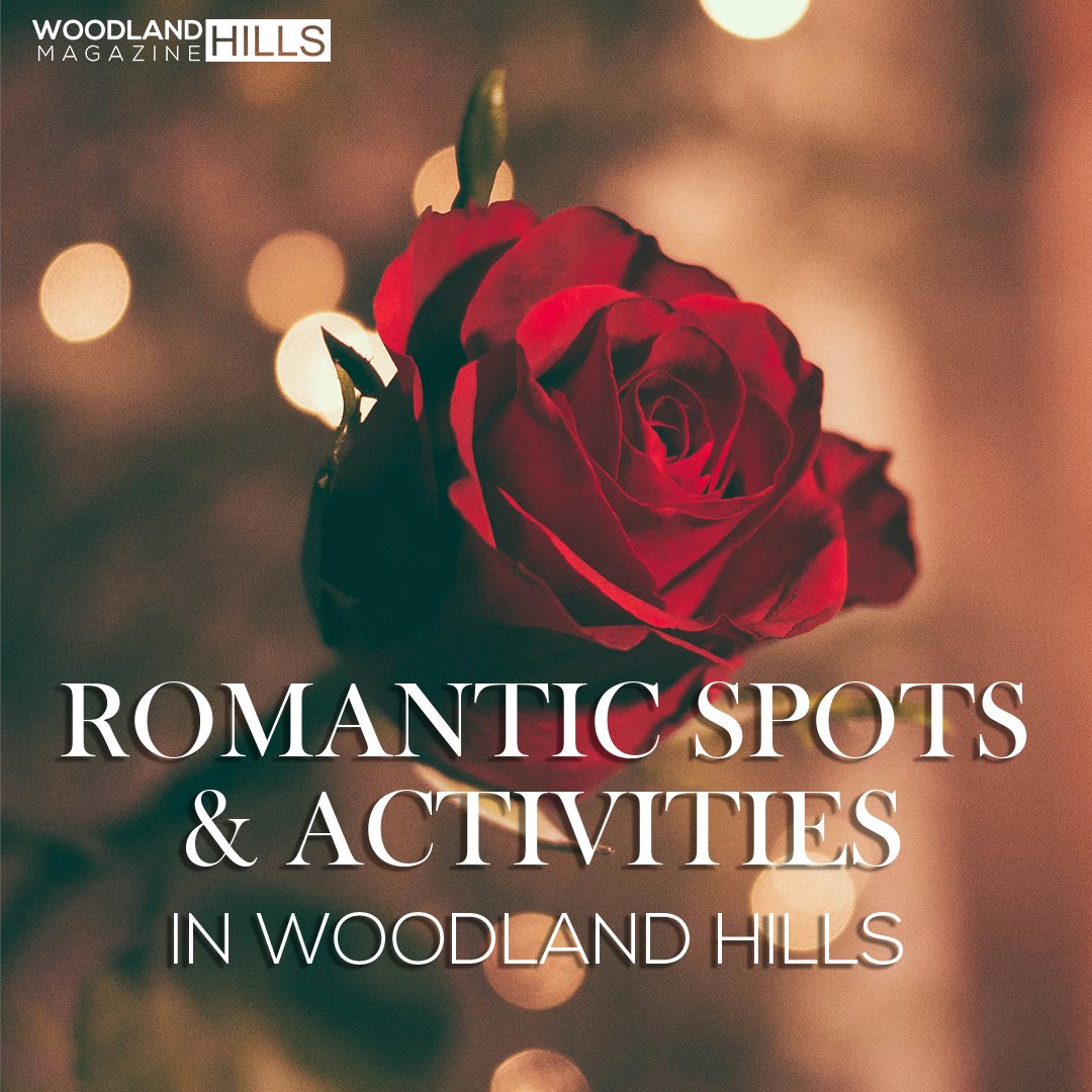 WH Magazine tweet media