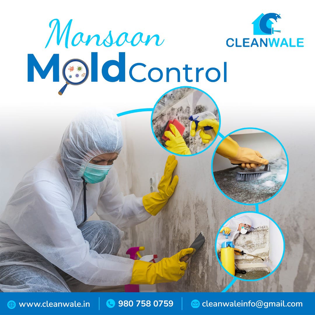 cleanwale's tweet image. Fight mold this monsoon with CLEANWALE! 🧼🛡️ #MoldControl #MonsoonSafety #HomeCare #HealthyLiving #CleanHome