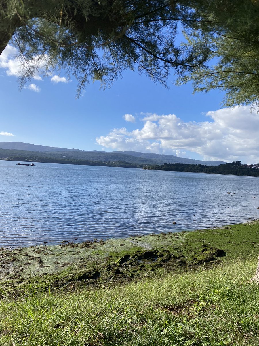 SojeeJs's tweet image. 💆‍♂️