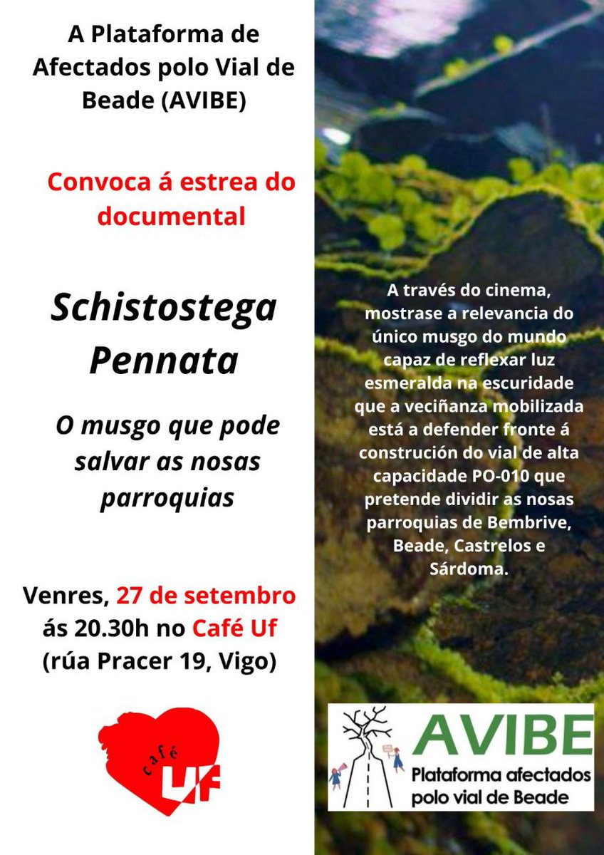 Este venres no Café Uf, proxeción do documental de <a href="/AVIBE_VialBeade/">AfectadosVialBeadeVigo</a> sobre o musgo que pode salvar o rural vigués da construción do vial de alta capacidade PO-010.
Unha especie luminiscente única ameazada por unha infraestrutura innecesaria. #NonAoVial