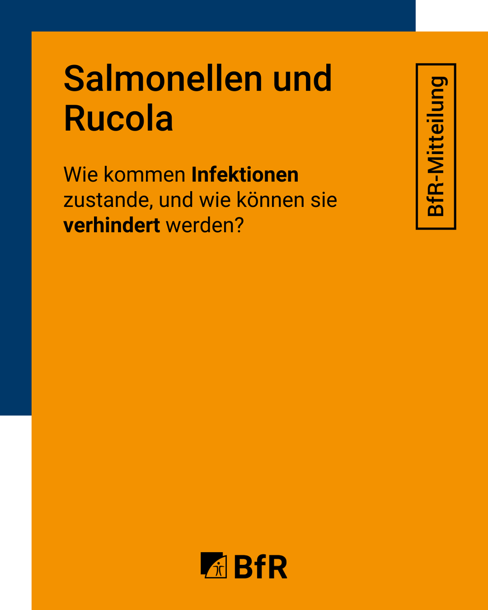 Am 26.09.2024 hat das <a href="/rki_de/">Robert Koch-Institut</a> über einen lebensmittelbedingten #Salmonellose-Ausbruch informiert, von dem Deutschland, Österreich und Dänemark betroffen sind.

Infos vom BfR zu #Salmonellen &amp; Empfehlungen für hygienischen Umgang mit Lebensmitteln: bfr.bund.de/cm/343/salmone…
