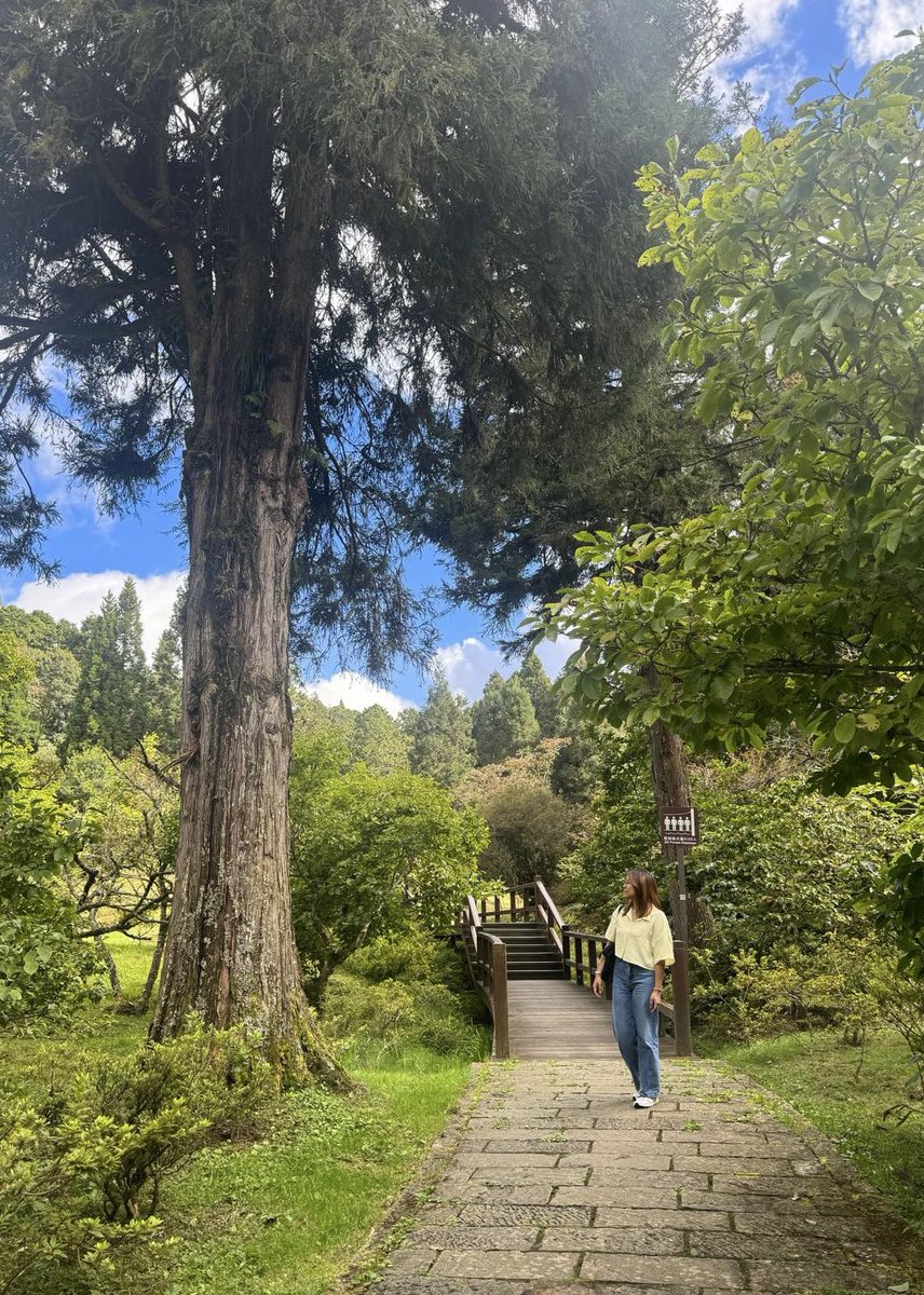 emilythegrace's tweet photo. One of the highlights of this trip 🍃 https://t.co/7EK2qbk1SI