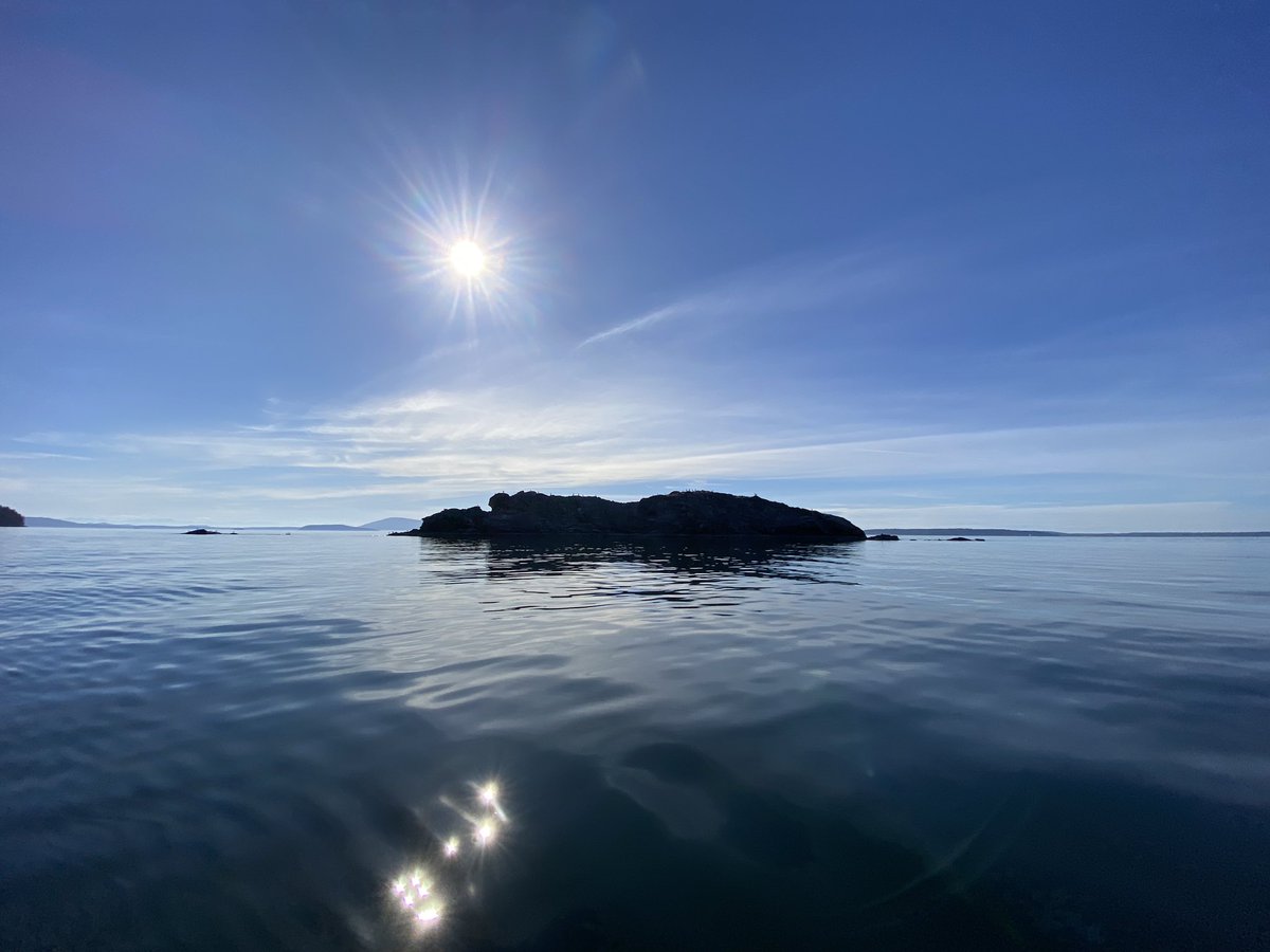 Joy Love (@joyloveelevennw) on Twitter photo 