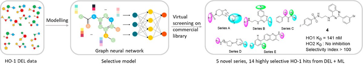 ACSBioMed's tweet photo. DEL based machine learning discovered new highly selective HO1 hits by @WuXi AppTec DEL team. #ACSMedChemLett #DEL #Machine Learning #HO1
https://t.co/ZeR2BbT7Yw https://t.co/evlBfXCvTW