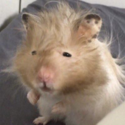 haveagooddayeaj's tweet image. ㅋㅋㅋㅋㅋㅋㅋㅋㅋㅋ @eaJPark