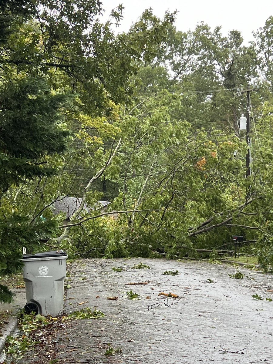 DAPProject's tweet image. Meanwhile outside the Parsons Estates in Lenoir…