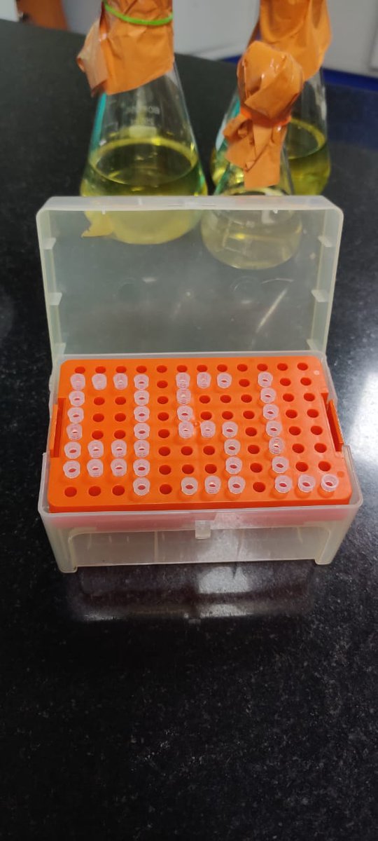Helma David (@helma_david97) on Twitter photo Having a tip-top day at QSL! 📍Fun filled research Quorum sensing lab #enjoy #research #labfun #QSL <a href="/QSL_SASTRA/">Quorum Sensing Lab @ SASTRA</a> <a href="/Solomon_qsl/">Adline Princy Solomon</a> Having a tip-top day at QSL! 📍Fun filled research Quorum sensing lab #enjoy #research #labfun #QSL <a href="/QSL_SASTRA/">Quorum Sensing Lab @ SASTRA</a> <a href="/Solomon_qsl/">Adline Princy Solomon</a>
