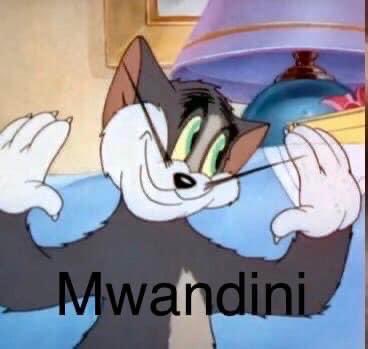 Interviewer: Are you from Copperbelt?

You : No sir, I’m from Lusaka!

Interviewer: Ok Pronounce SEVENTEEN?

You :