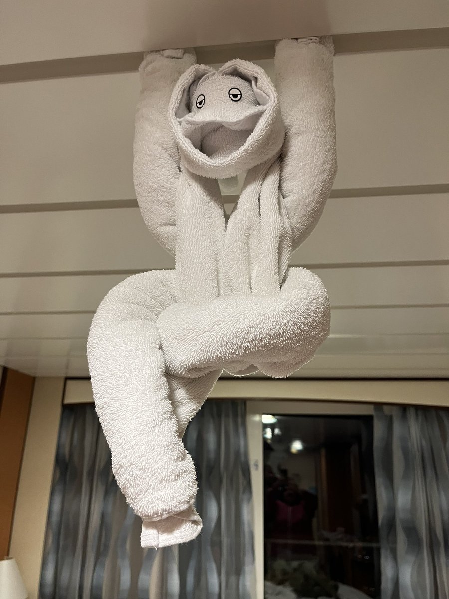 knicknack1's tweet photo. Every day the housekeeper folded the towels in various shapes 😍 Awesome 👏🏻 Thank you @RoyalCaribbean #Jeweloftheseas https://t.co/t1uL8qUapG