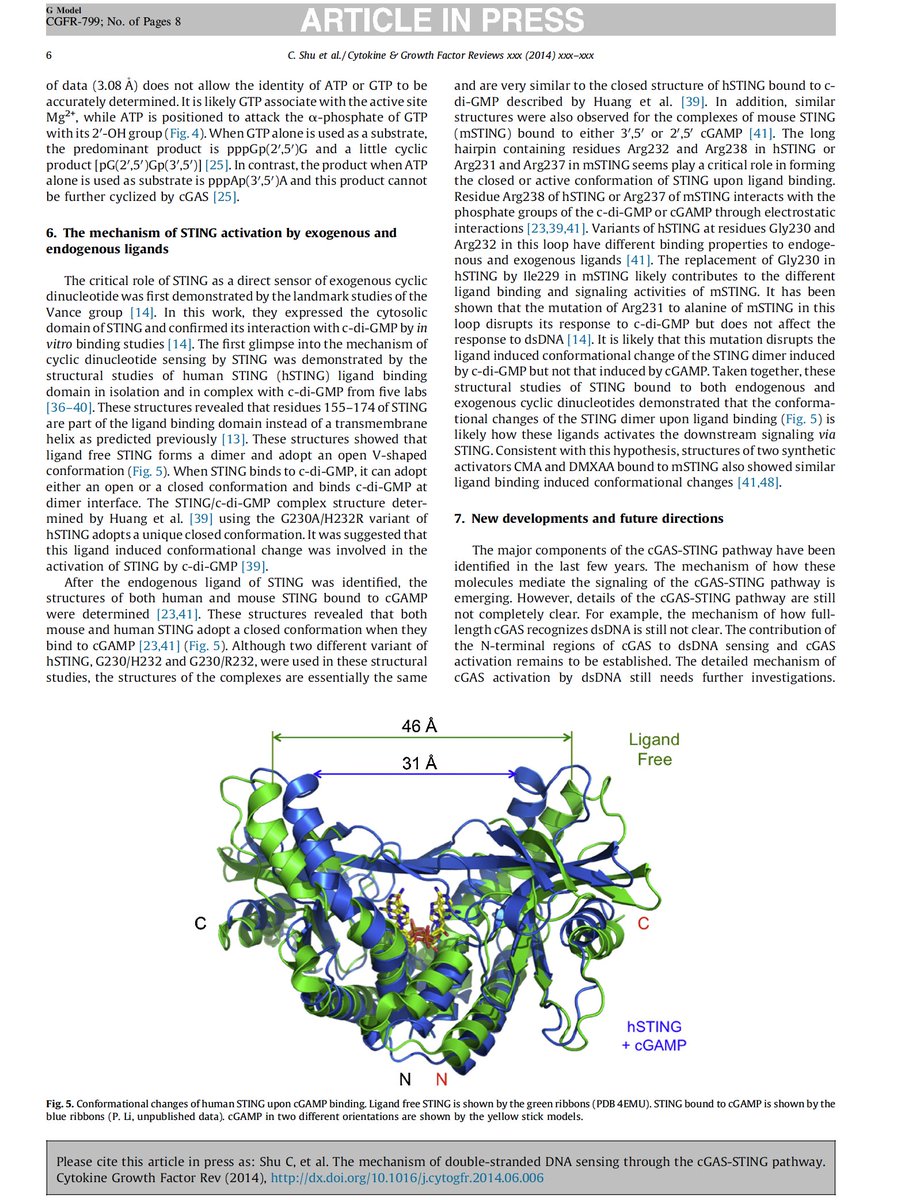 Let's hide the structure of cGAMP bound to STING here!