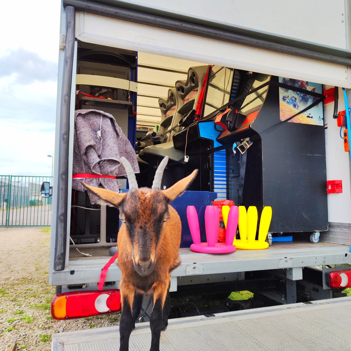 johndostudio's tweet photo. Faites gaffe à vous, parfois le jeu vidéo ça rend chèvre 🐐 au sens propre ... 🤣

Rarement vu des animaux aussi curieux que ces deux là ☺️

#arcade #jeuvideo #borne #chevres #chevre https://t.co/9JoAHKYq0C