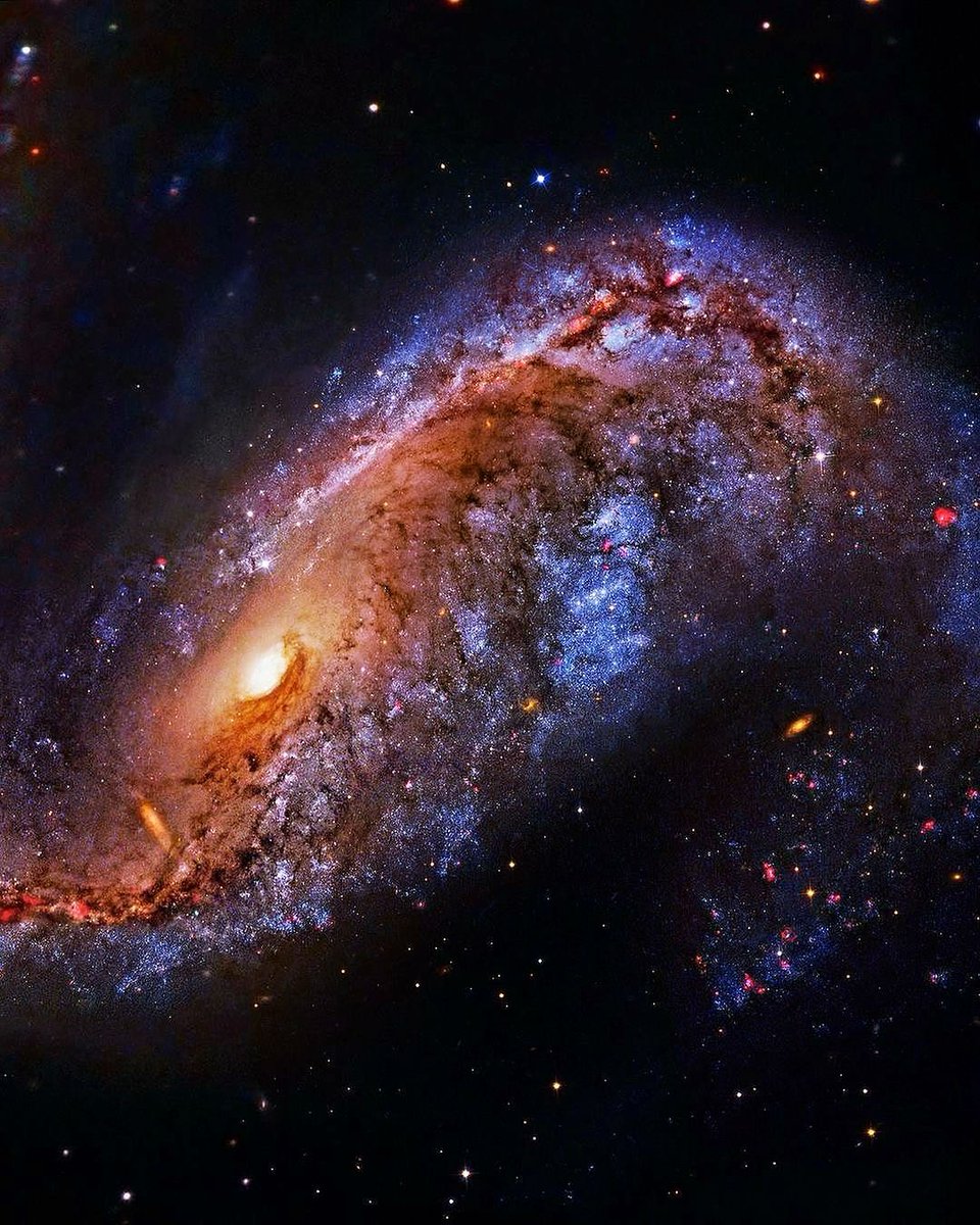 Galaxy NGC 2442, at about 50 million light years away from us. Isn’t this amazing? 🤩

Image Credit &amp; Copyright: Processing - Robert Gendler, Roberto Colombari

Data - Hubble Legacy Archive, European Southern Observatory