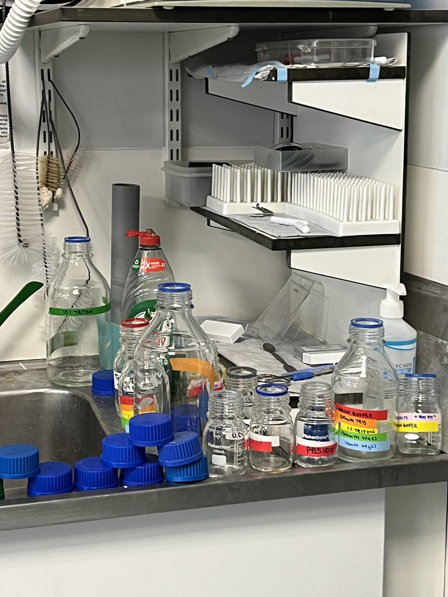 EmilyBlackburn9's tweet photo. Sad to be clearing out my bench in the @SchiavoMNPlab lab after 3 years but super excited to be starting my new job in the de Strooper &amp; Arancibia lab at @TheCrick on Monday 😁😁😁 https://t.co/uyZ9JTr2O6