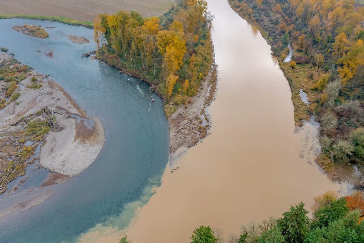 ZachsORoutdoors's tweet photo. NEW: A federal judge approved modifications to the highly controversial "drawdowns" at Willamette Valley reservoirs this year — a practice meant to save endangered salmon but that wrought a drinking water crisis in Sweet Home, Lebanon, Lowell last year: https://t.co/30r94yh8ZA https://t.co/sCmeFPkTfM