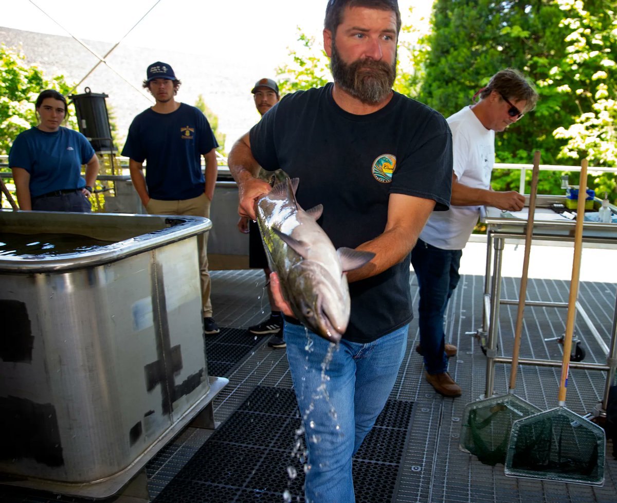 ZachsORoutdoors's tweet photo. NEW: A federal judge approved modifications to the highly controversial "drawdowns" at Willamette Valley reservoirs this year — a practice meant to save endangered salmon but that wrought a drinking water crisis in Sweet Home, Lebanon, Lowell last year: https://t.co/30r94yh8ZA https://t.co/sCmeFPkTfM