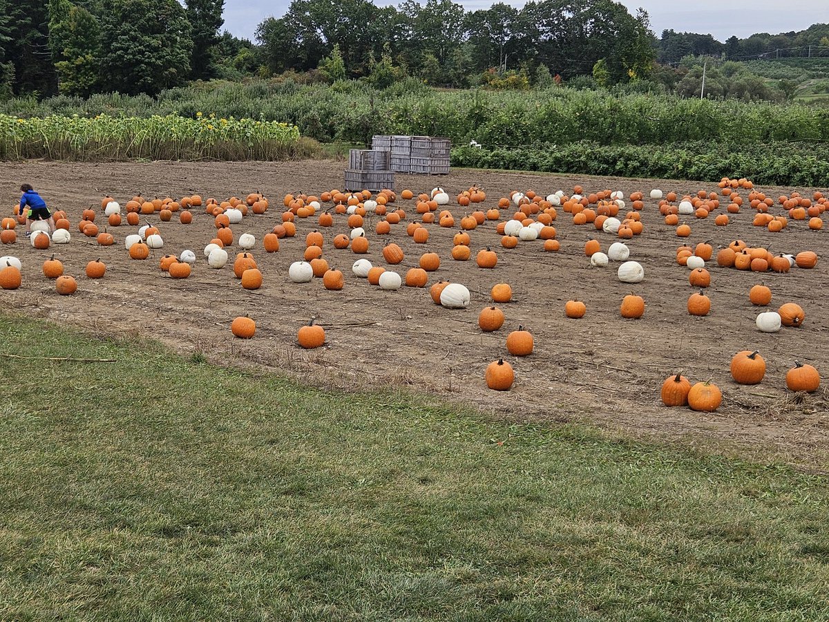 captclam's tweet photo. #NewHampshire fall vibe and some great eats https://t.co/DTEH1LqGcE