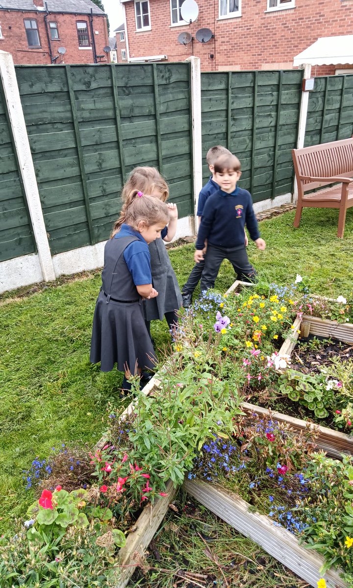 MissKBSGC's tweet photo. In science we have been looking at plants. We have taken an interest in the plants that can be found in our school grounds and  have been grouping them into wild plants, and garden plants. @MrGSGC #SGCscience https://t.co/fotYDCPyj5