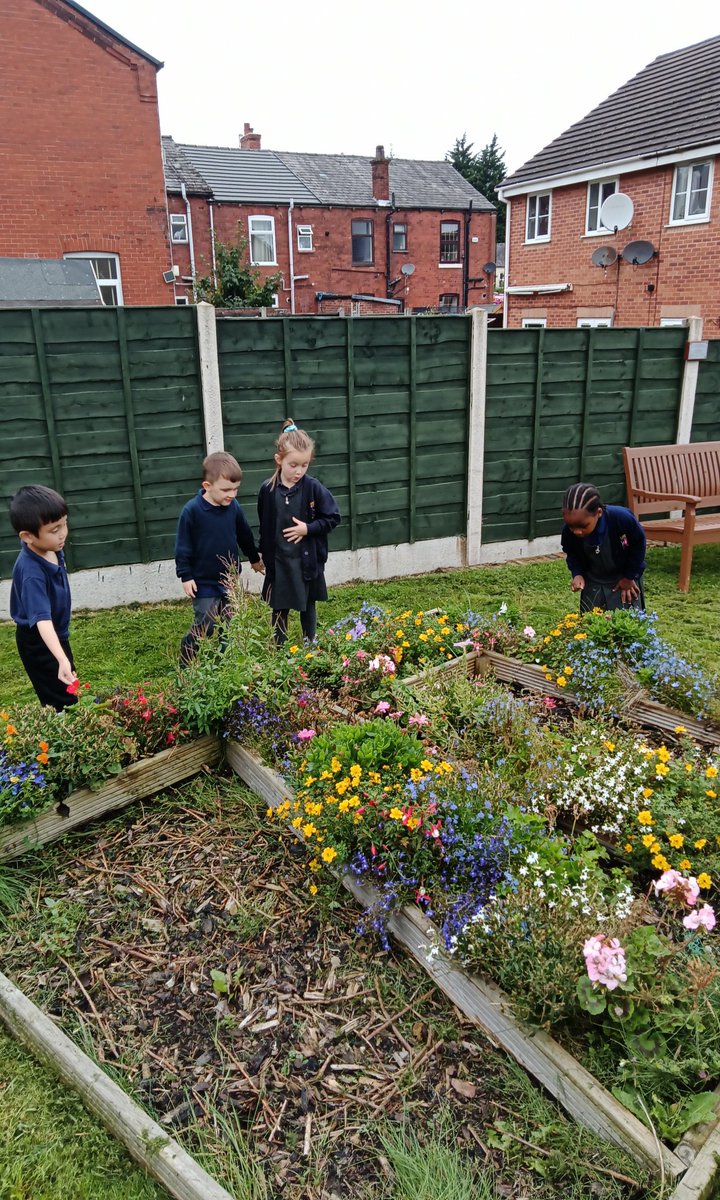 MissKBSGC's tweet photo. In science we have been looking at plants. We have taken an interest in the plants that can be found in our school grounds and  have been grouping them into wild plants, and garden plants. @MrGSGC #SGCscience https://t.co/fotYDCPyj5