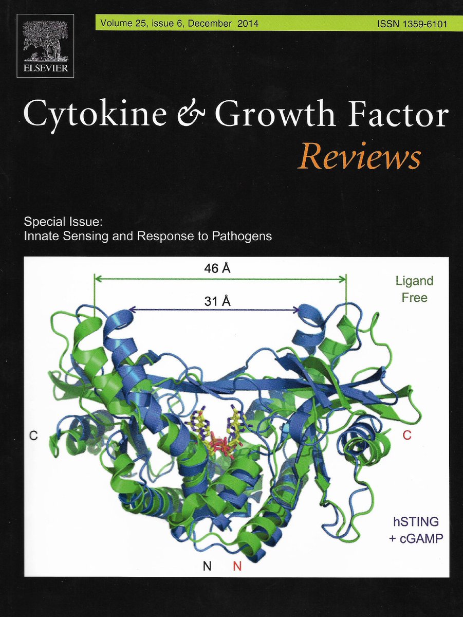 It ends up on the cover!