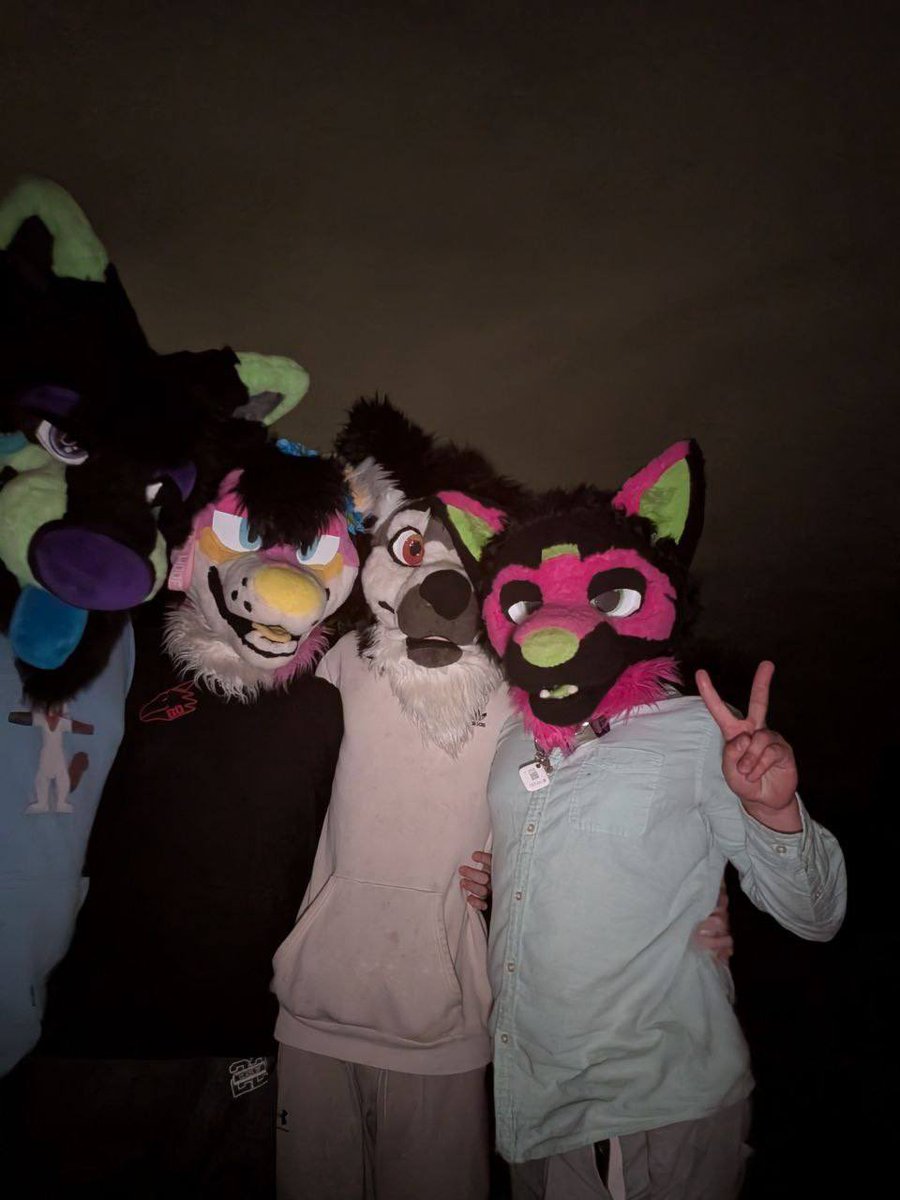 Toxic__Jackal's tweet photo. Happy fursuit Friday!! 🌕 ⛳️ 

📷@furryamilite https://t.co/g6anhNoB1w