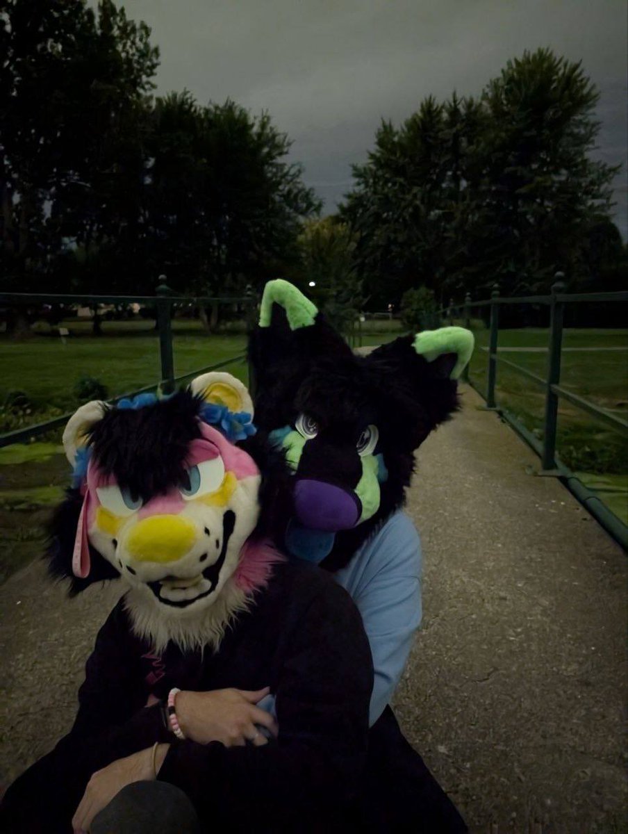 Toxic__Jackal's tweet photo. Happy fursuit Friday!! 🌕 ⛳️ 

📷@furryamilite https://t.co/g6anhNoB1w