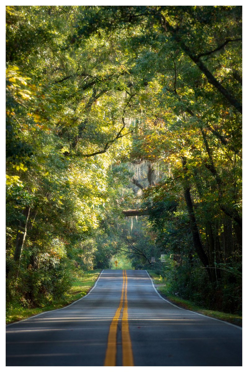 Feeling very grateful in Tallahassee today.  Thanks for all the nice messages. Somehow we didn’t lose power at our house all night and had very little tree debris when we ventured out this morning. Really feeling for the folks to our east in the Big Bend near Perry.