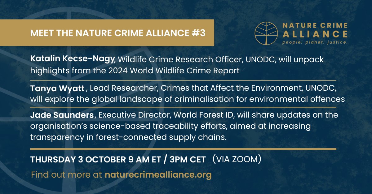 NatureCrimeAll's tweet image. The next ‘Meet the Nature Crime Alliance’ webinar convenes on Thursday 3 October, covering issues across #wildlifecrime, transparency in the #forest sector, and the global landscape of criminalisation for #environmental offences
Register now: wri.org/events/2024/10…