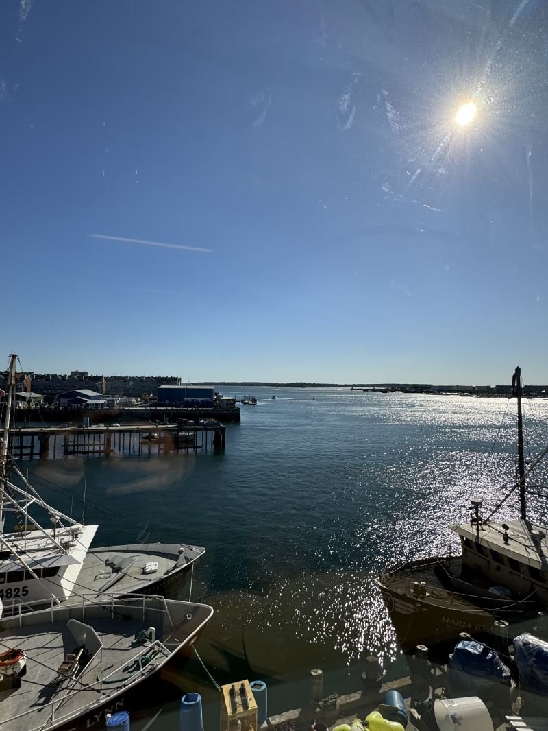 CAISoftwareLLC's tweet photo. If living and working in a "working port city with James Beard Award-winning restaurants" sounds like you, and you want to work with one of the best teams in the area, we want to talk to you! #team #work https://t.co/O0KlzmDSMQ