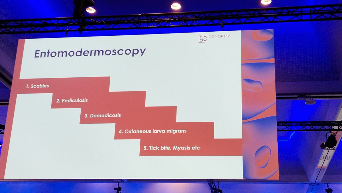rrivera9's tweet photo. Dale más uso a tu dermatoscopio 🔎
#inflamoscopia #entomodermatoscopia
#capilaroscopia 
#EADVCongress https://t.co/OIyuLmuSaO