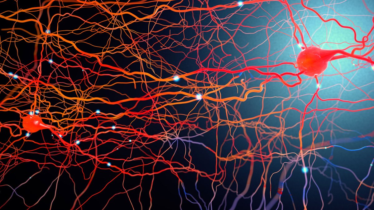 doescience's tweet photo. Our brains transmit data in very efficient ways. In contrast, computer chips need to boost signals as they move data. Scientists @TAMU, @SandiaLabs &amp; @Stanford found a material that acts like our brains' axons. It could help improve computers' efficiency: https://t.co/UUfOELfI5G https://t.co/TXP5LOU4Xi
