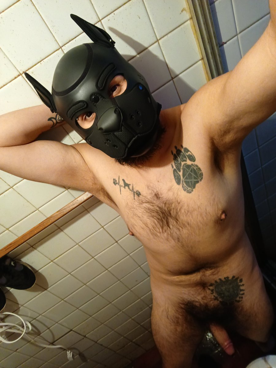 ▕⃝⃤Velkan Wolf ▕⃝⃤ tweet media