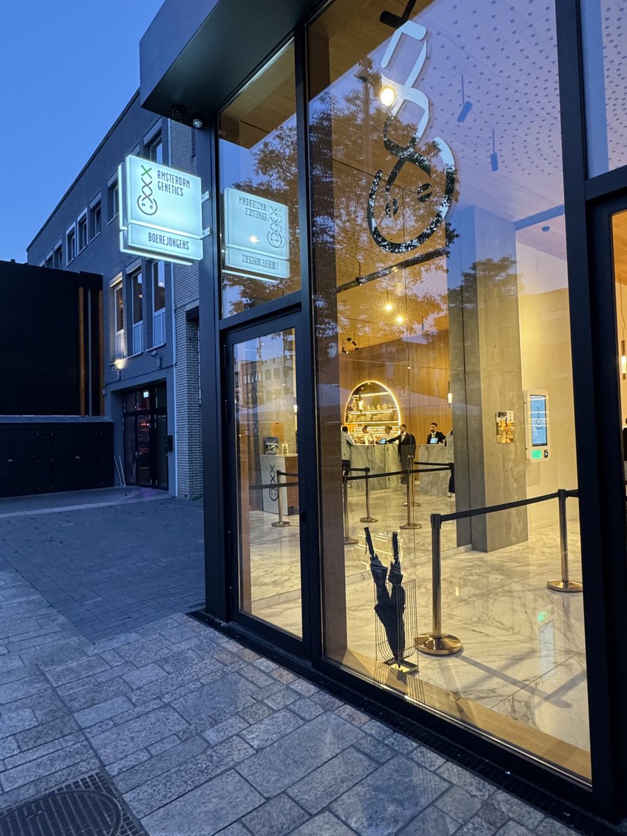 Z&amp;A REPORT ON THE DUTCH PILOT:  Warming up to this experiment, especially with only 10 licensees serving the first 80 “coffee shops” in the program. <a href="/villagefarms/">Village Farms International Inc.</a> is one of the ten (via 100% owned Leli Holland); the other nine are private. Upside could be significant in a bull