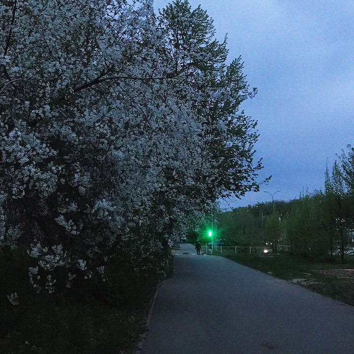 FUSE045 dj liminal - liminal
Out now

band.link/djliminal